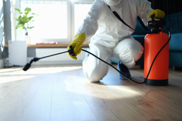 Reliable Odor Removal contractor in Martinez, CA by Crime Scene Cleaner Online